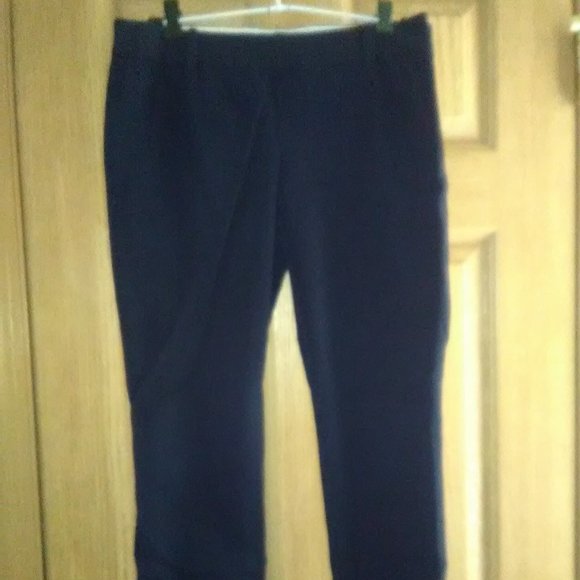 J Crew Minnie Stretch Low Rise Flat Front Cropped Ankle Pants Size 4 EUC! - Picture 1 of 7